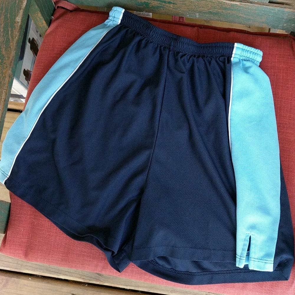 2/$15 Vintage Reebok Shorts